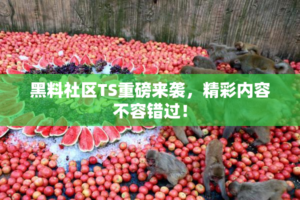 黑料社区TS重磅来袭，精彩内容不容错过！