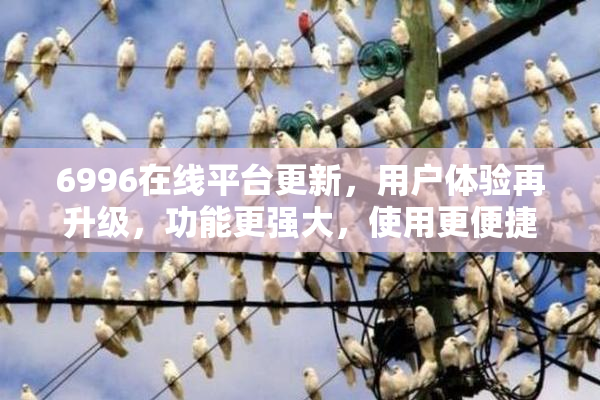 6996在线平台更新，用户体验再升级，功能更强大，使用更便捷！