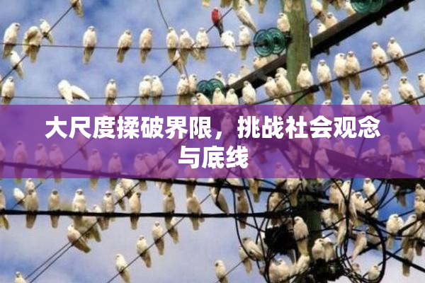 大尺度揉破界限，挑战社会观念与底线