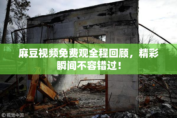 麻豆视频免费观全程回顾，精彩瞬间不容错过！