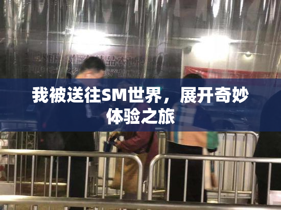 我被送往SM世界，展开奇妙体验之旅