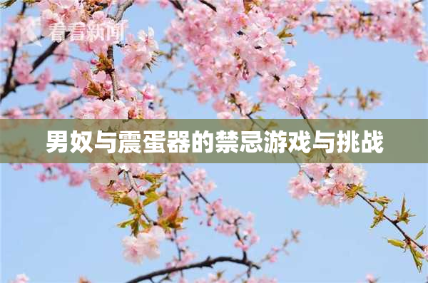 男奴与震蛋器的禁忌游戏与挑战