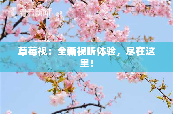 草莓视：全新视听体验，尽在这里！