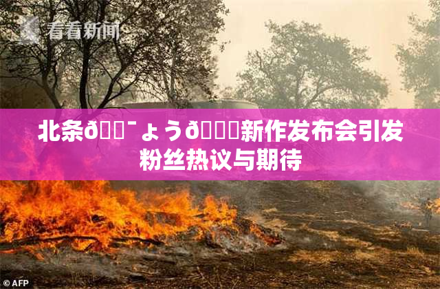 北条🔯ょう🍓新作发布会引发粉丝热议与期待