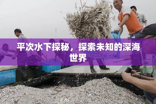 平次水下探秘，探索未知的深海世界