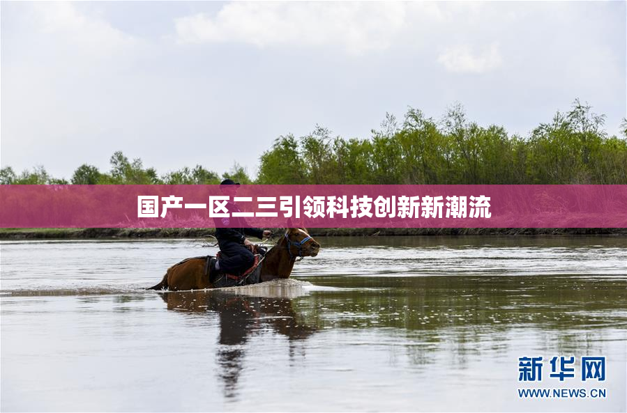 国产一区二三引领科技创新新潮流