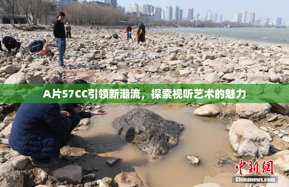 A片57CC引领新潮流，探索视听艺术的魅力