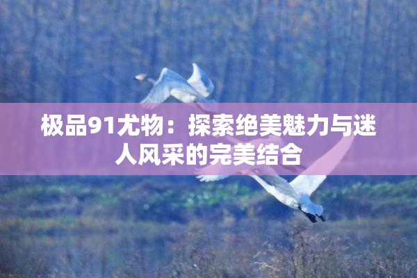 极品91尤物：探索绝美魅力与迷人风采的完美结合