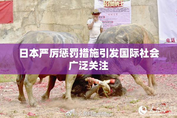 日本严厉惩罚措施引发国际社会广泛关注