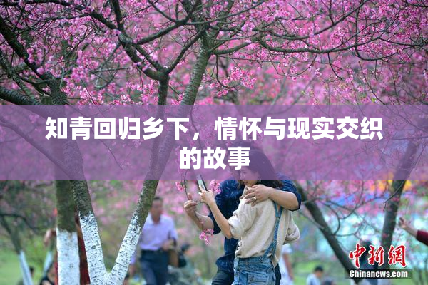知青回归乡下，情怀与现实交织的故事
