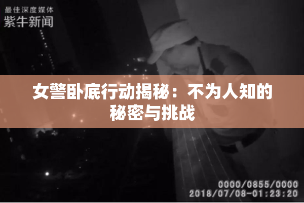 女警卧底行动揭秘：不为人知的秘密与挑战