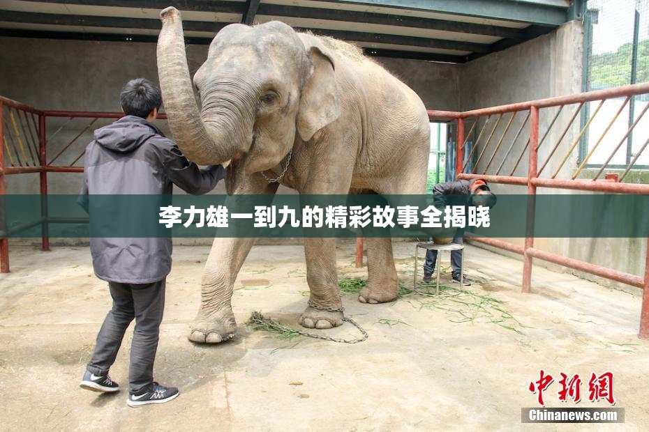 李力雄一到九的精彩故事全揭晓