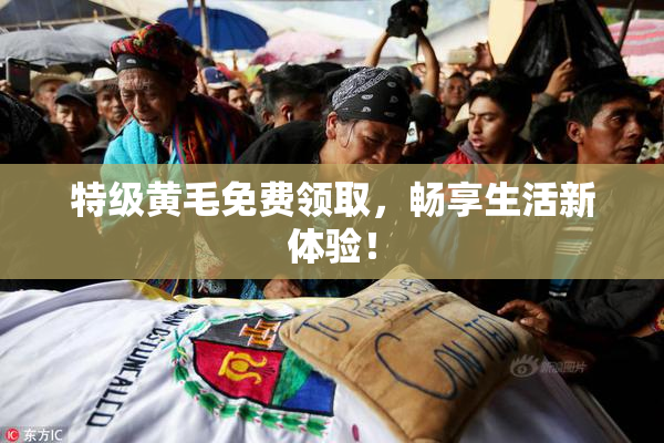 特级黄毛免费领取，畅享生活新体验！