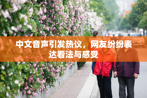 中文音声引发热议，网友纷纷表达看法与感受