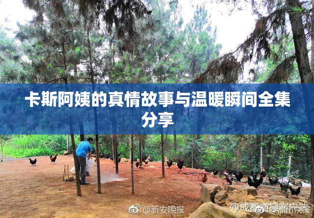 卡斯阿姨的真情故事与温暖瞬间全集分享