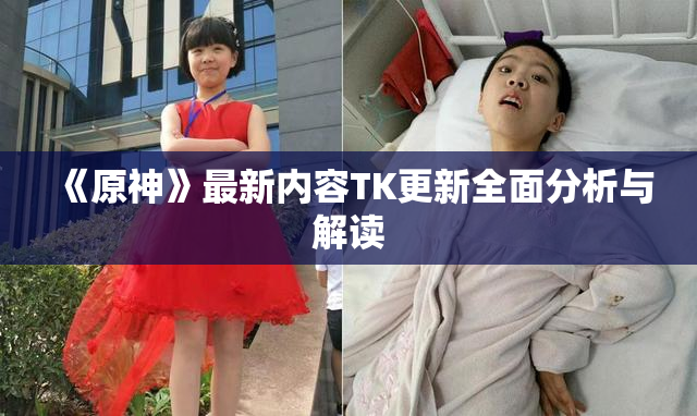 《原神》最新内容TK更新全面分析与解读