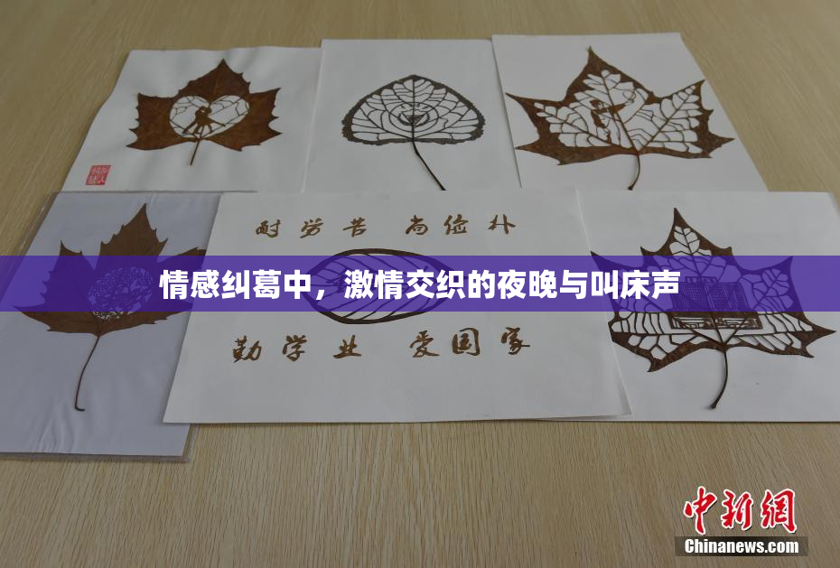 情感纠葛中，激情交织的夜晚与叫床声