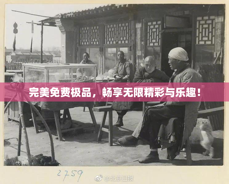 完美免费极品，畅享无限精彩与乐趣！