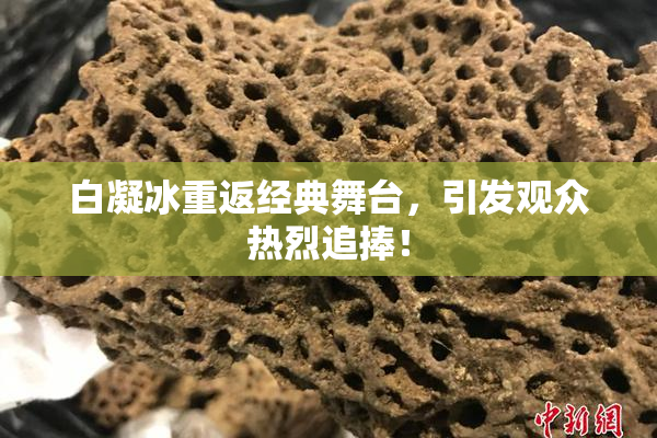白凝冰重返经典舞台，引发观众热烈追捧！