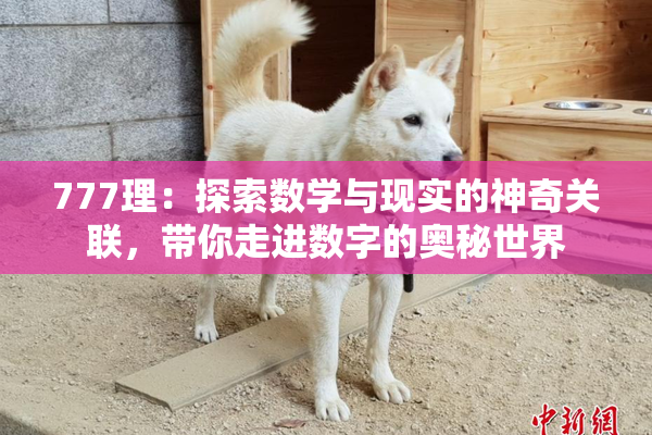 777理：探索数学与现实的神奇关联，带你走进数字的奥秘世界