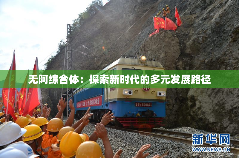 无阿综合体：探索新时代的多元发展路径