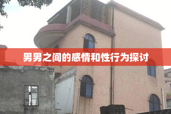 男男之间的感情和性行为探讨