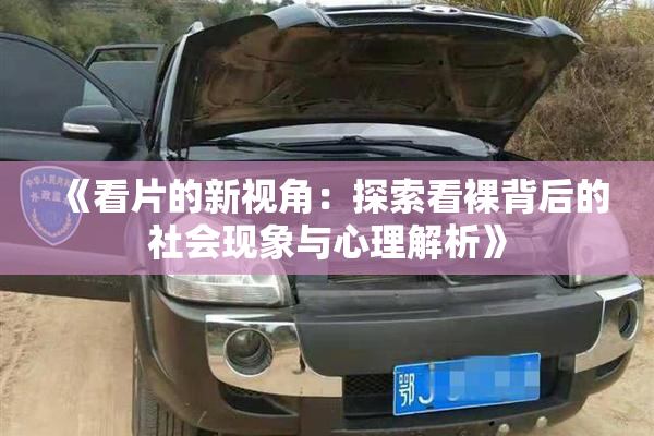 《看片的新视角：探索看裸背后的社会现象与心理解析》