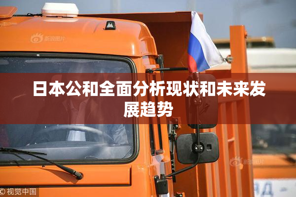 日本公和全面分析现状和未来发展趋势