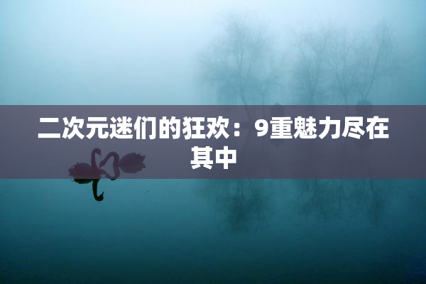 二次元迷们的狂欢：9重魅力尽在其中
