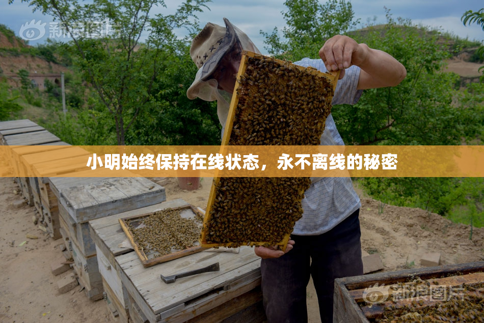 小明始终保持在线状态，永不离线的秘密