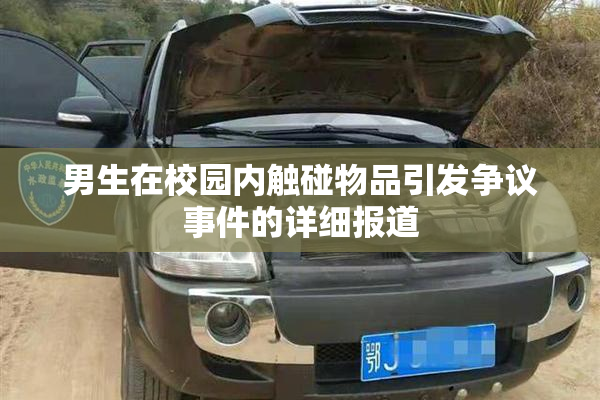 男生在校园内触碰物品引发争议事件的详细报道