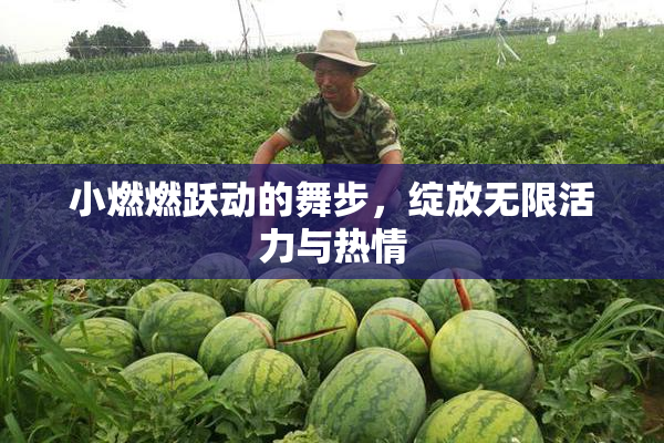 小燃燃跃动的舞步，绽放无限活力与热情