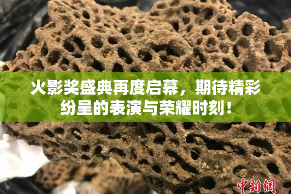 火影奖盛典再度启幕，期待精彩纷呈的表演与荣耀时刻！