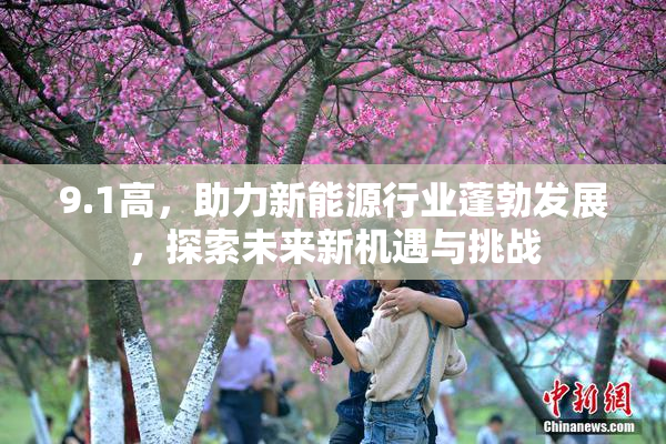 9.1高，助力新能源行业蓬勃发展，探索未来新机遇与挑战