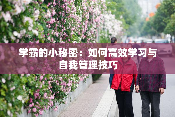 学霸的小秘密：如何高效学习与自我管理技巧