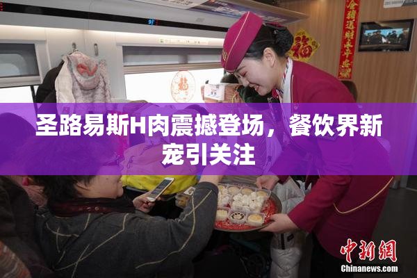 圣路易斯H肉震撼登场，餐饮界新宠引关注