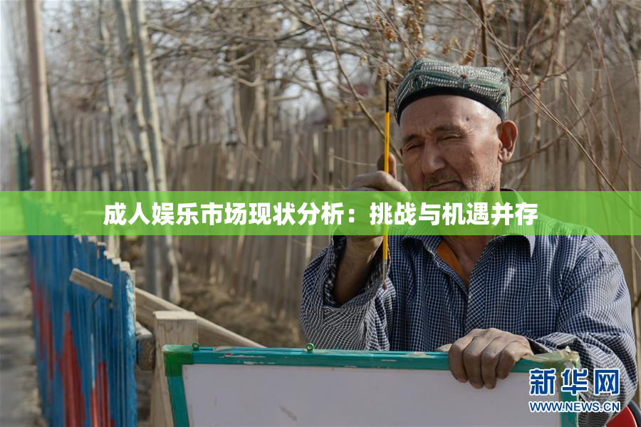 成人娱乐市场现状分析：挑战与机遇并存