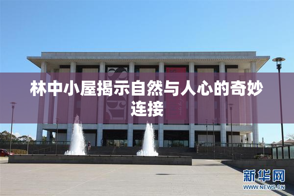 林中小屋揭示自然与人心的奇妙连接
