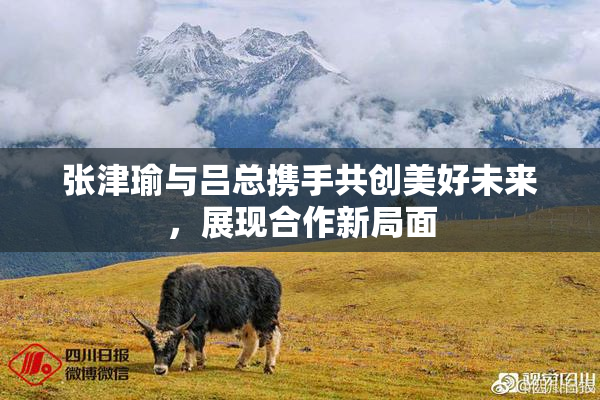 张津瑜与吕总携手共创美好未来，展现合作新局面