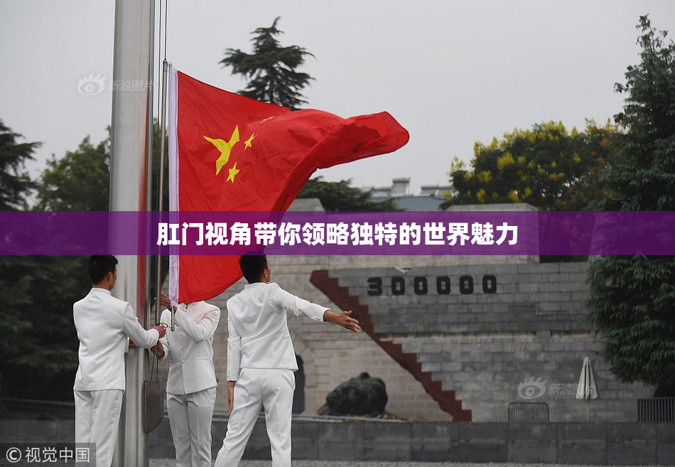 肛门视角带你领略独特的世界魅力