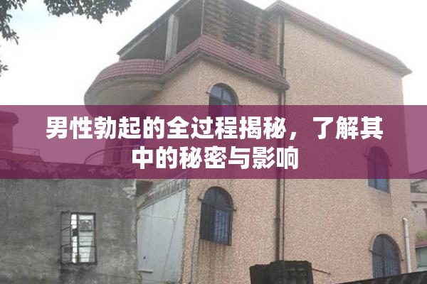 男性勃起的全过程揭秘，了解其中的秘密与影响