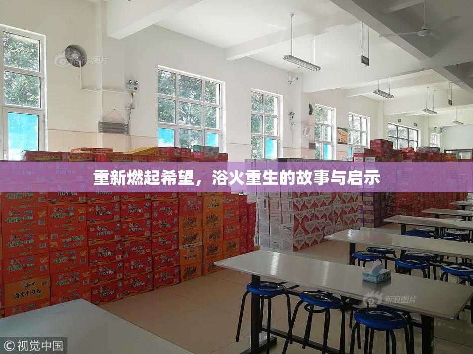 重新燃起希望，浴火重生的故事与启示