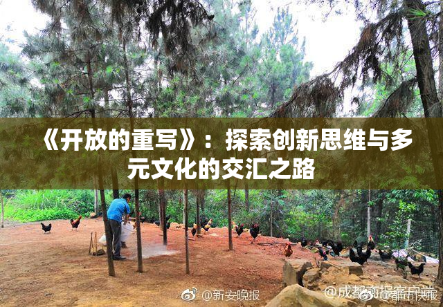 《开放的重写》：探索创新思维与多元文化的交汇之路
