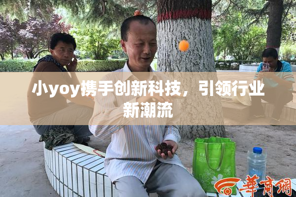 小yoy携手创新科技，引领行业新潮流