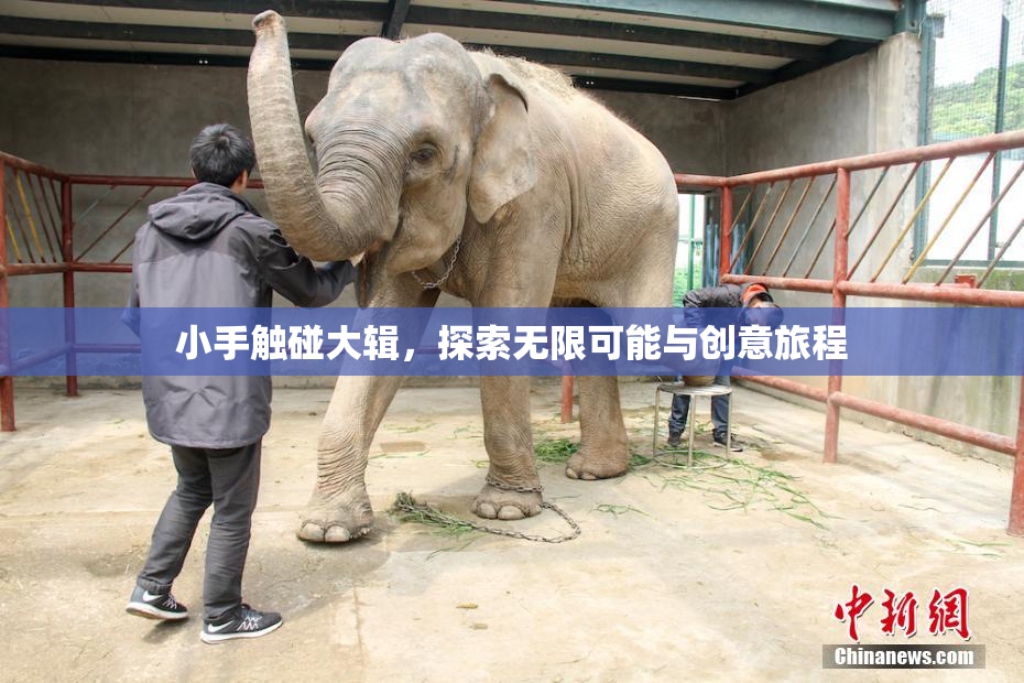 小手触碰大辑，探索无限可能与创意旅程