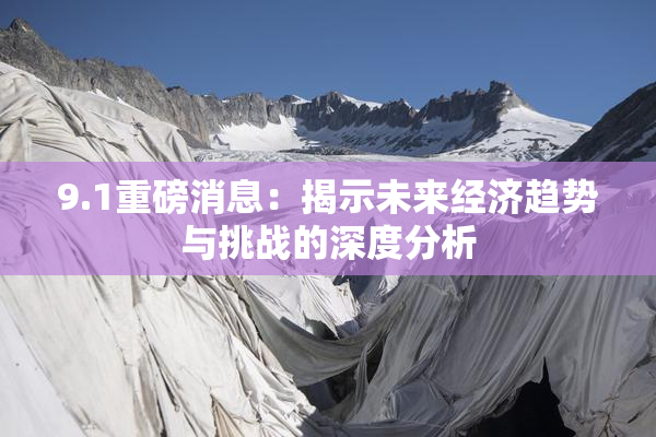 9.1重磅消息：揭示未来经济趋势与挑战的深度分析