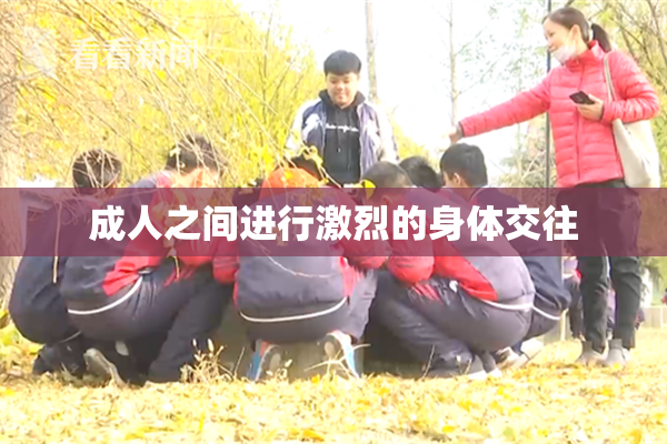 成人之间进行激烈的身体交往