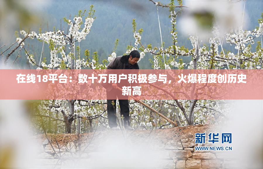 在线18平台：数十万用户积极参与，火爆程度创历史新高