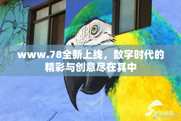 www.78全新上线，数字时代的精彩与创意尽在其中