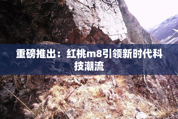 重磅推出：红桃m8引领新时代科技潮流